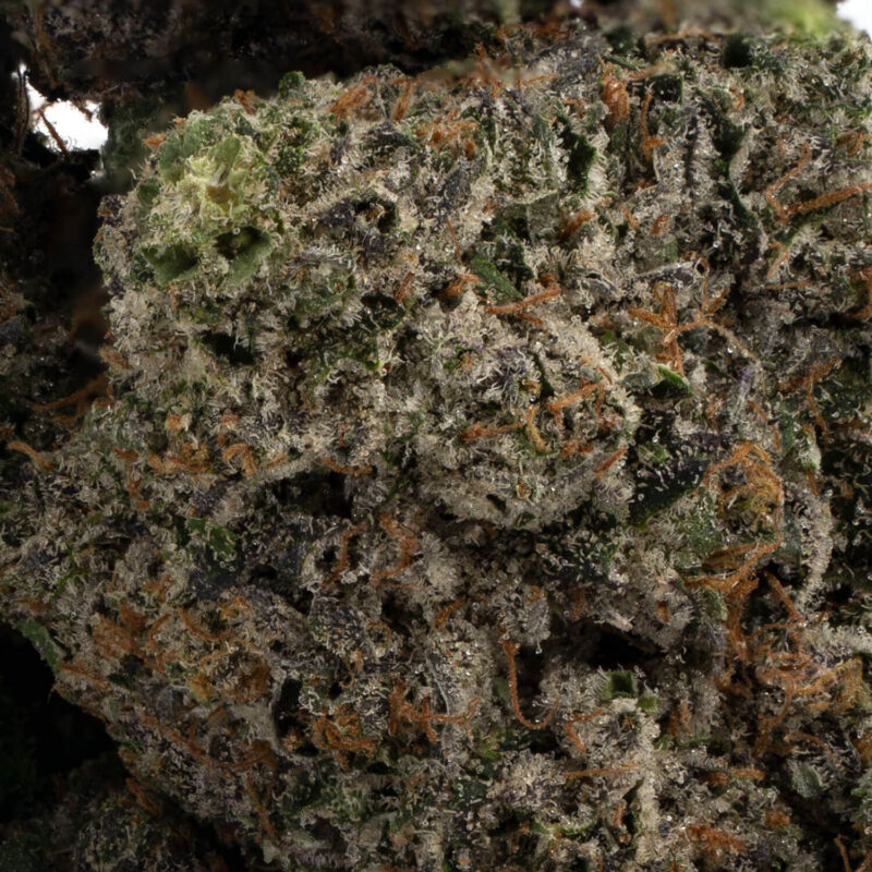 2090 Shit - Image 3