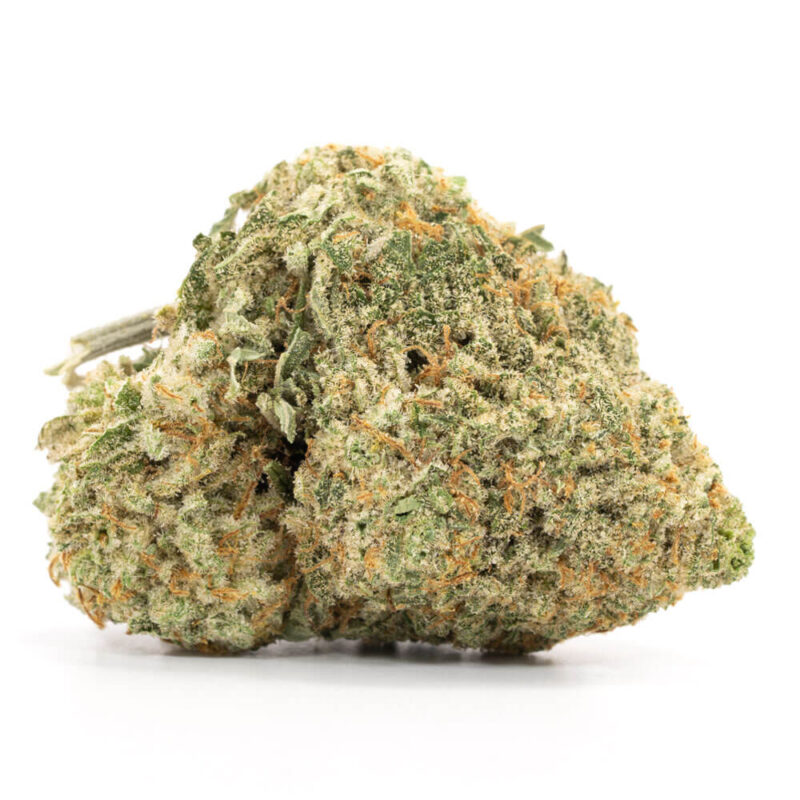 Afghan Hammer