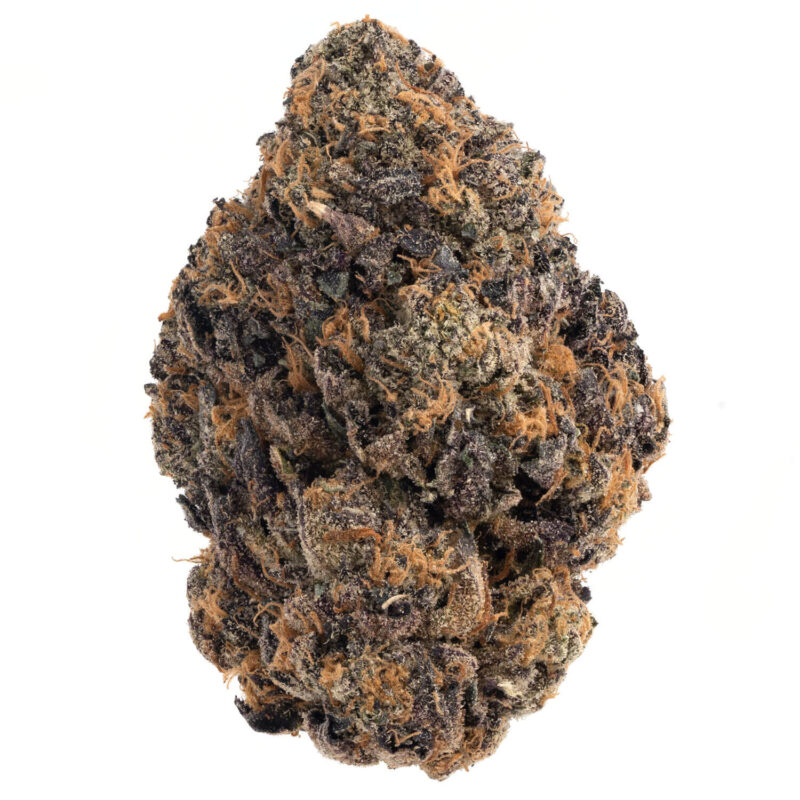 Animal Sherbert