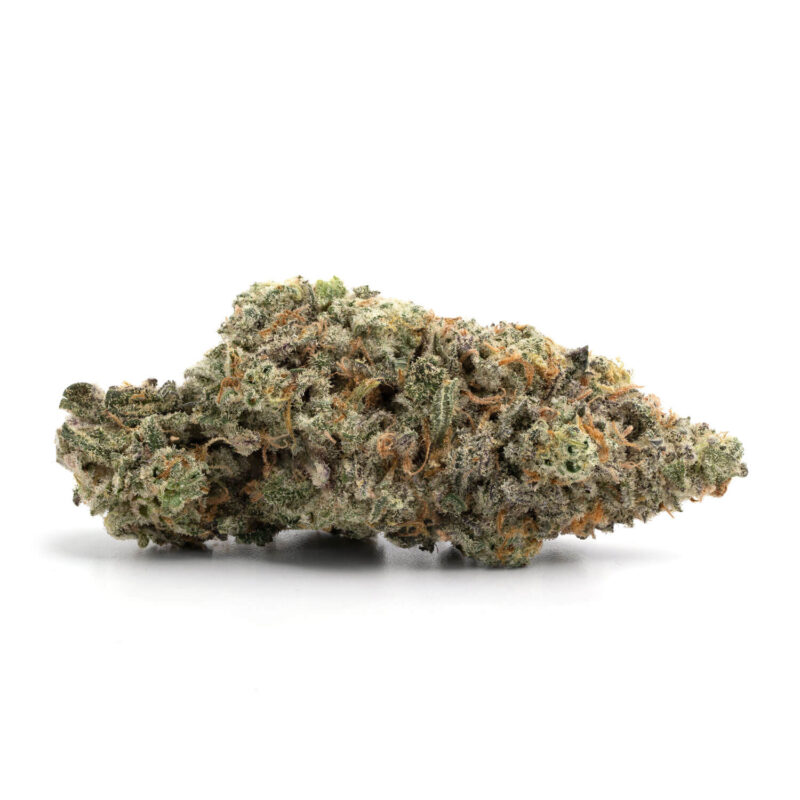 Apple Fritter