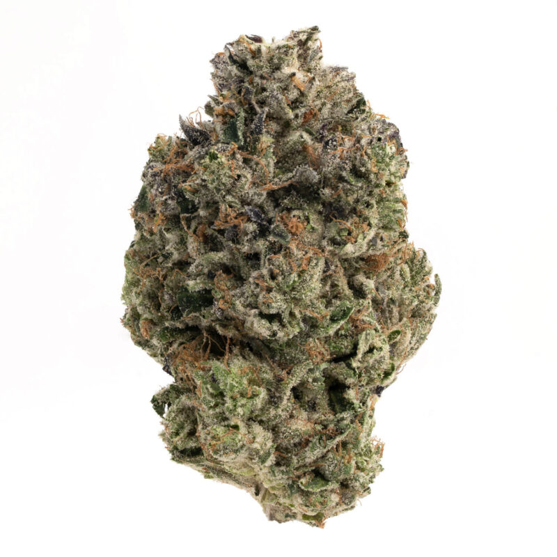 Godzilla Glue