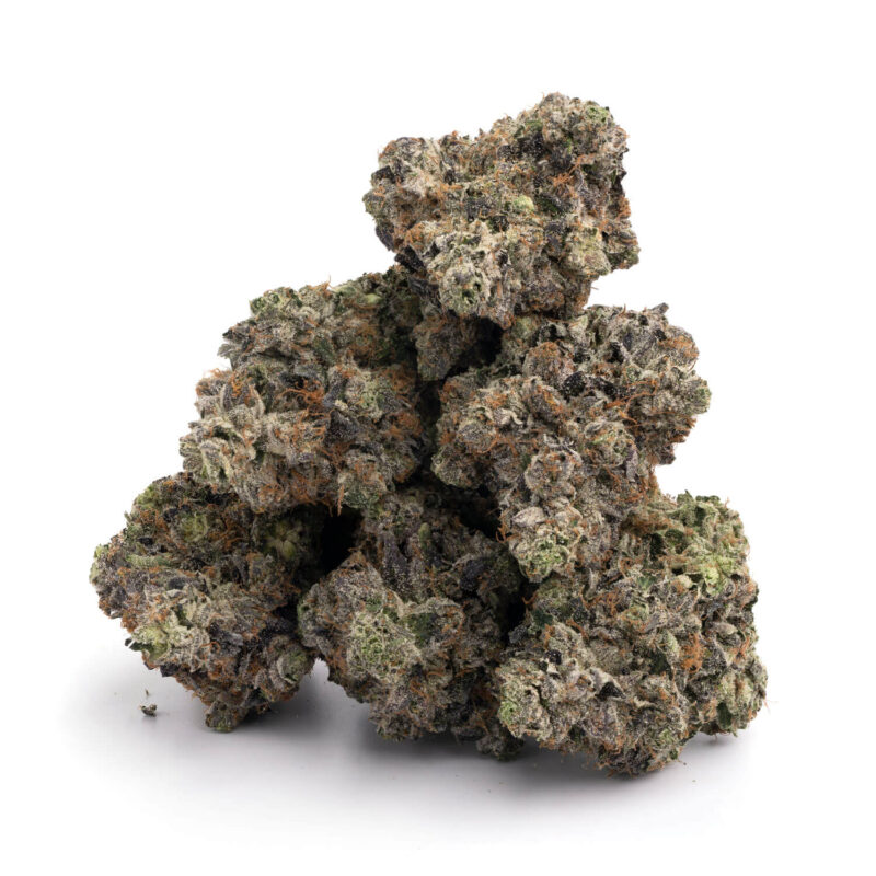 Godzilla Glue - Image 4