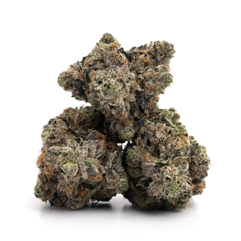 Godzilla Glue - Image 2