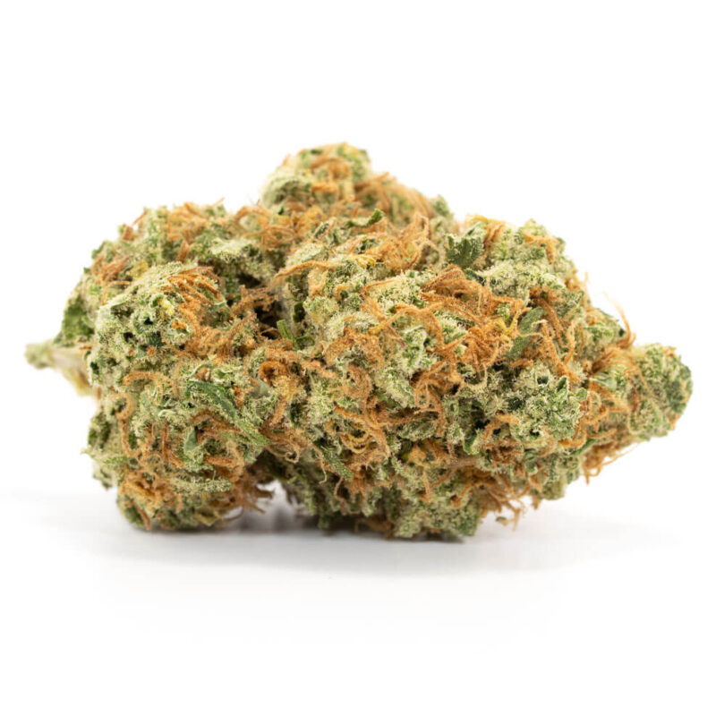 Grapefruit