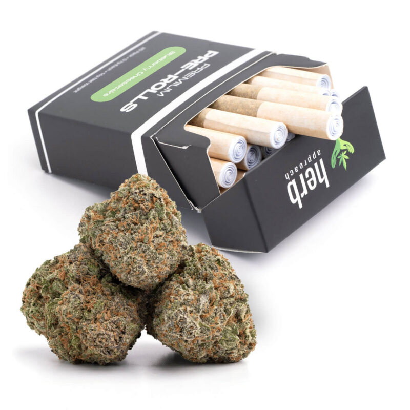 Blueberry Cheesecake | Pre-Rolled 20 Pack | 14g