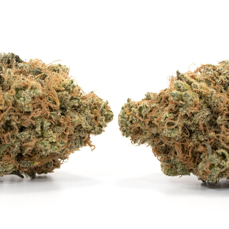 Honeydew Haze - Image 2