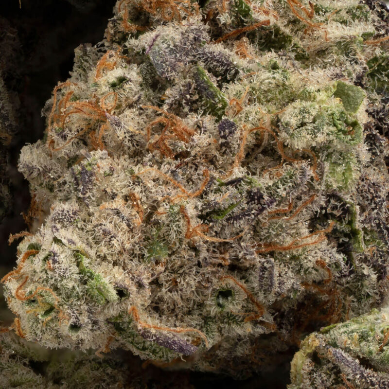 Mac 10 - Image 3