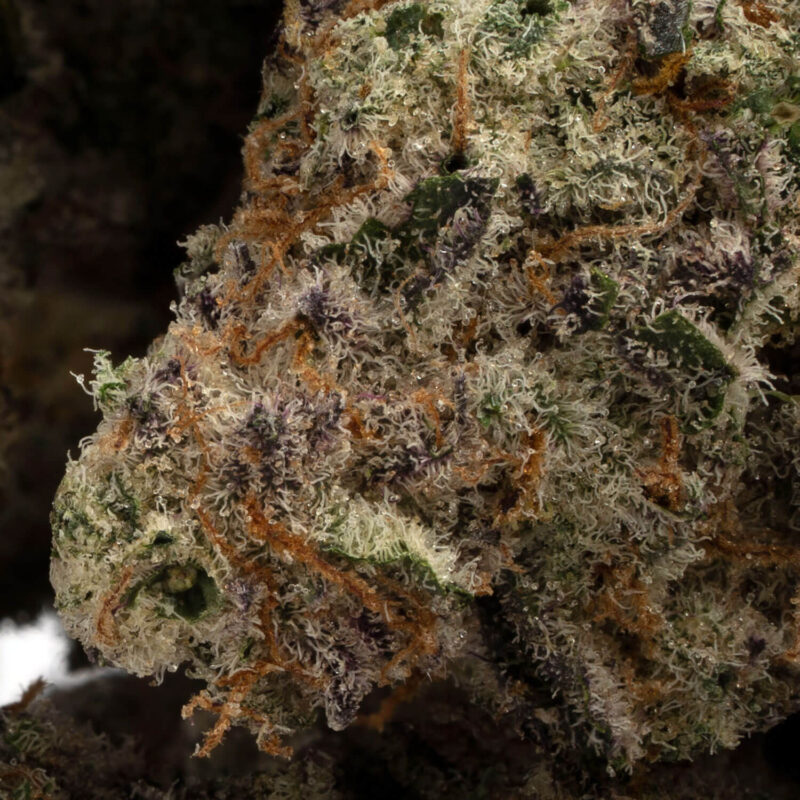 Mendo Breath - Image 3