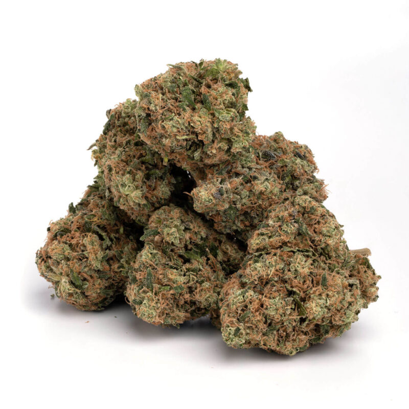 Moby Dick - Image 3