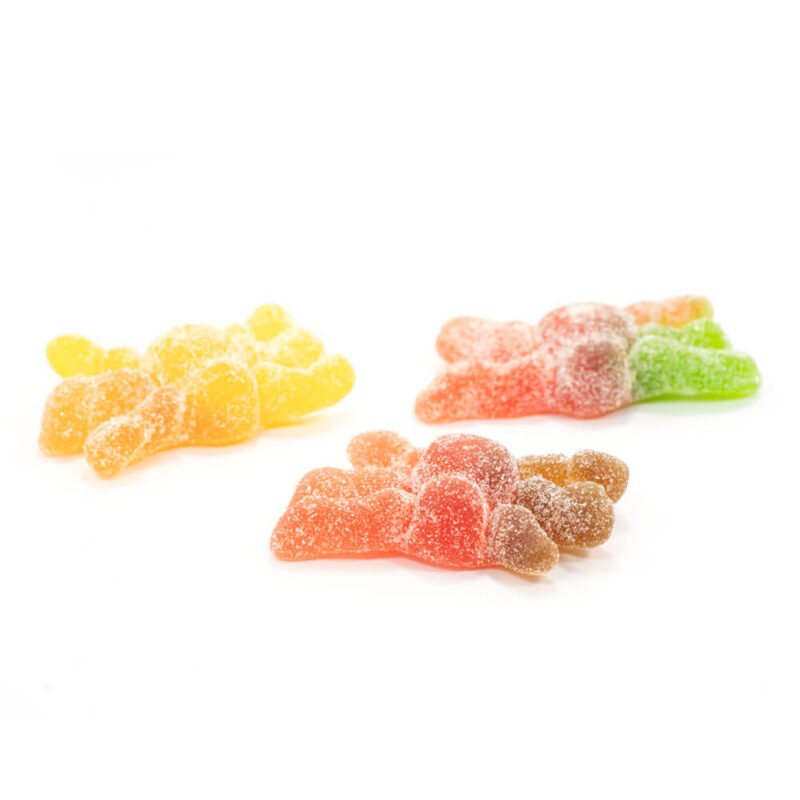 Spooky Spiders (Mota) - Image 2