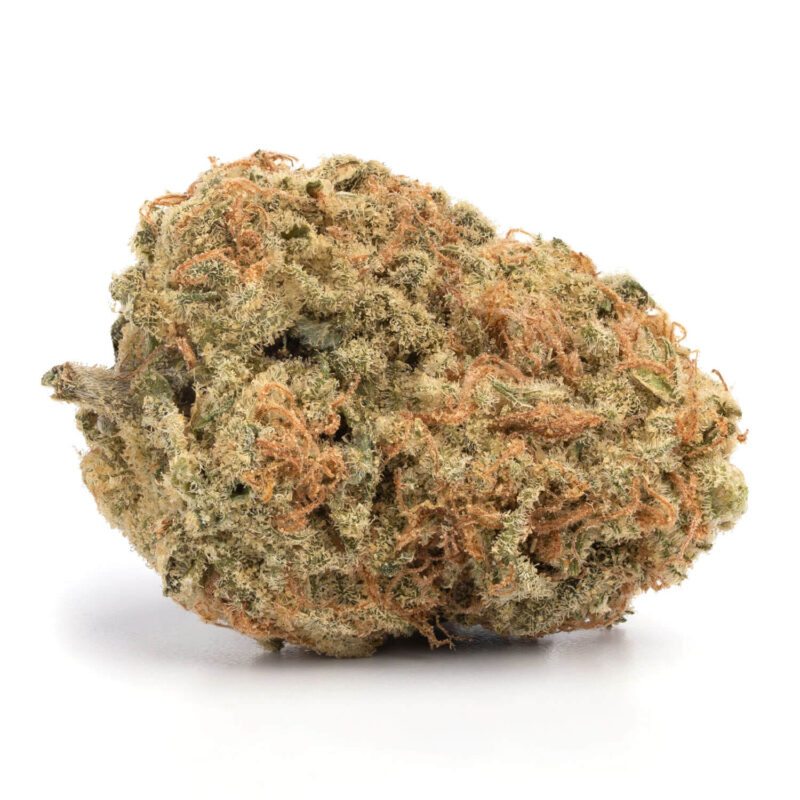 Orange Cookies