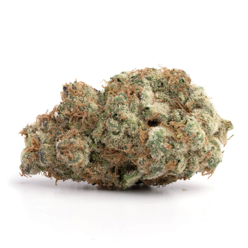 Permafrost