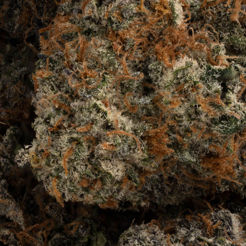 Pineapple Mints - Image 3