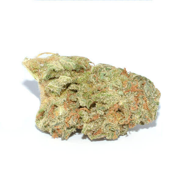 Power Plant