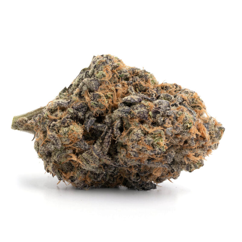 Purple Dream