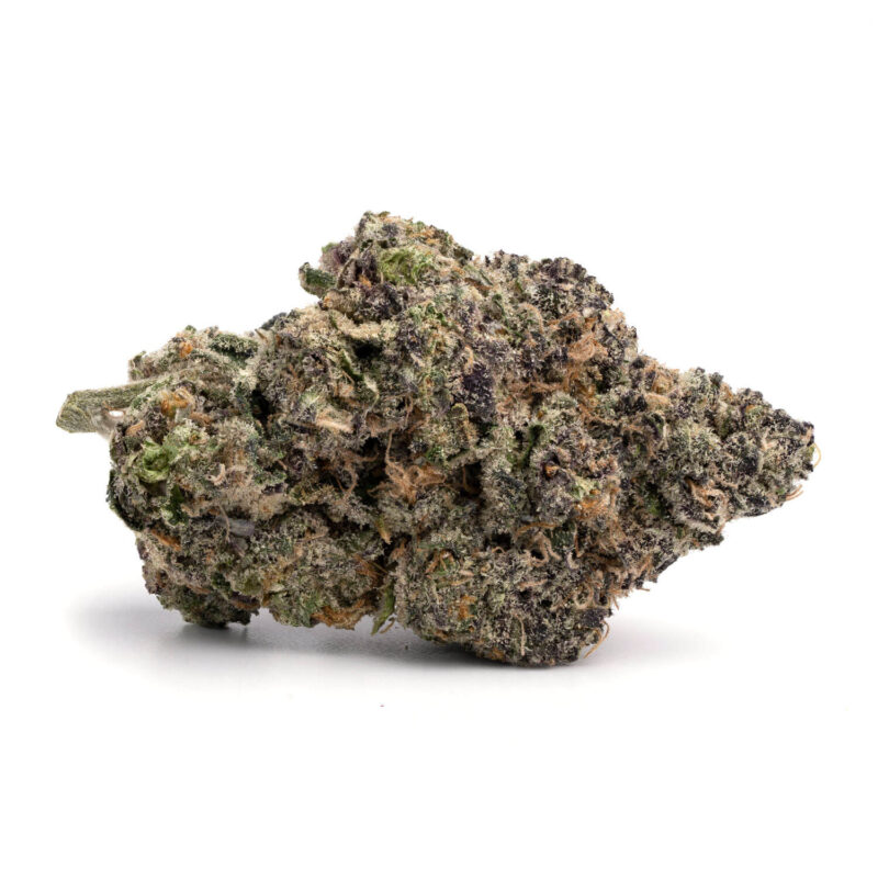 Purple Tangie