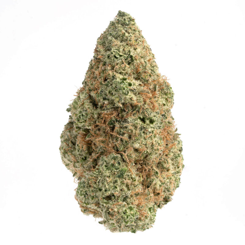 Tropicali