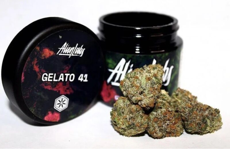 Gelato 41