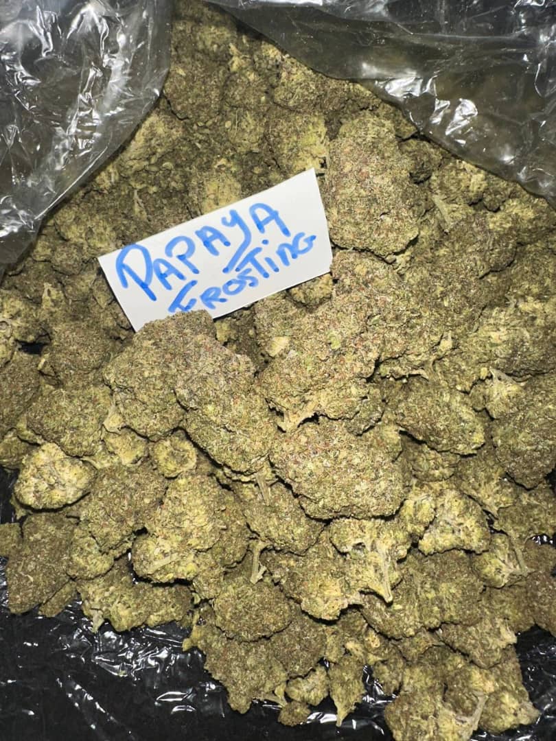 CALI CANADA - Image 3