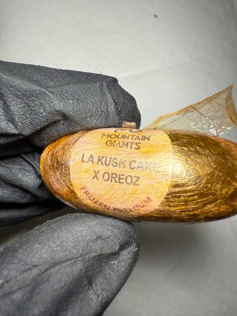 Mountain Giant frozen premium