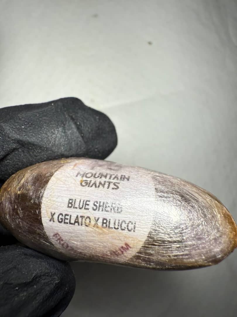 Mountain Giant frozen premium