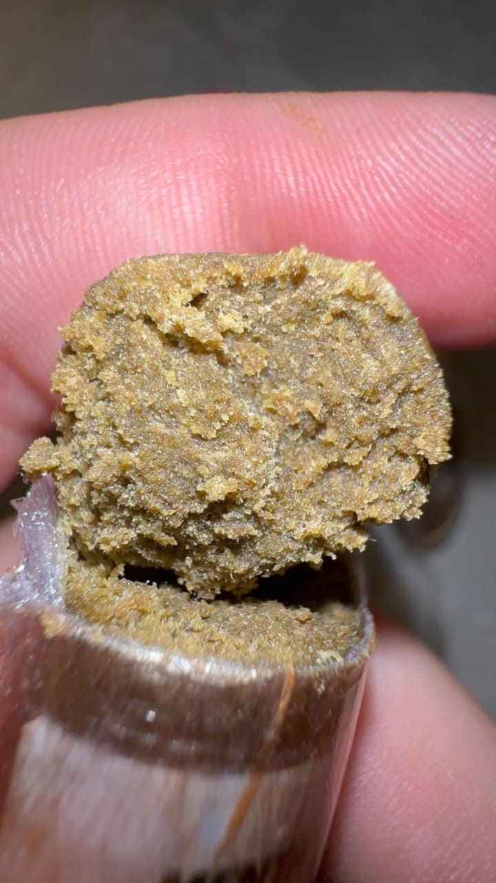 EGGS HASH FARM - Image 5