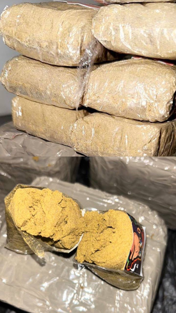 JAUNE SUPER MOUSSE - Image 3