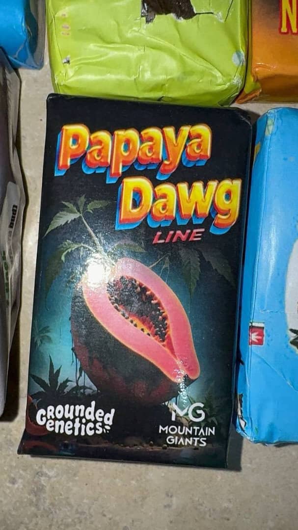 Mountain Giants Hash Eu