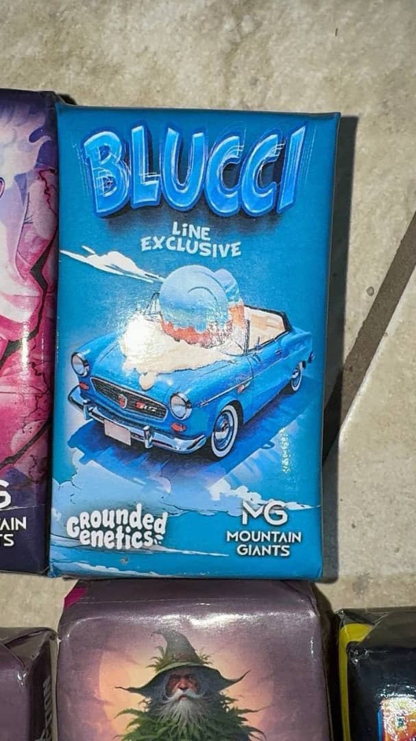 Mountain Giants Hash Fr